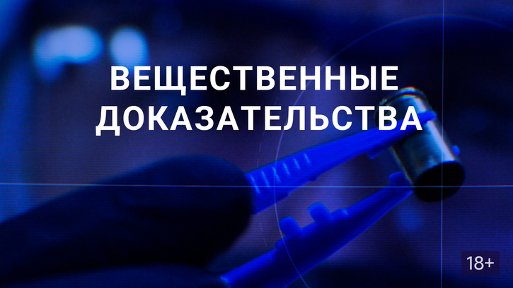 Можно предоставить запись на телефон в качестве доказательства что человек пьян