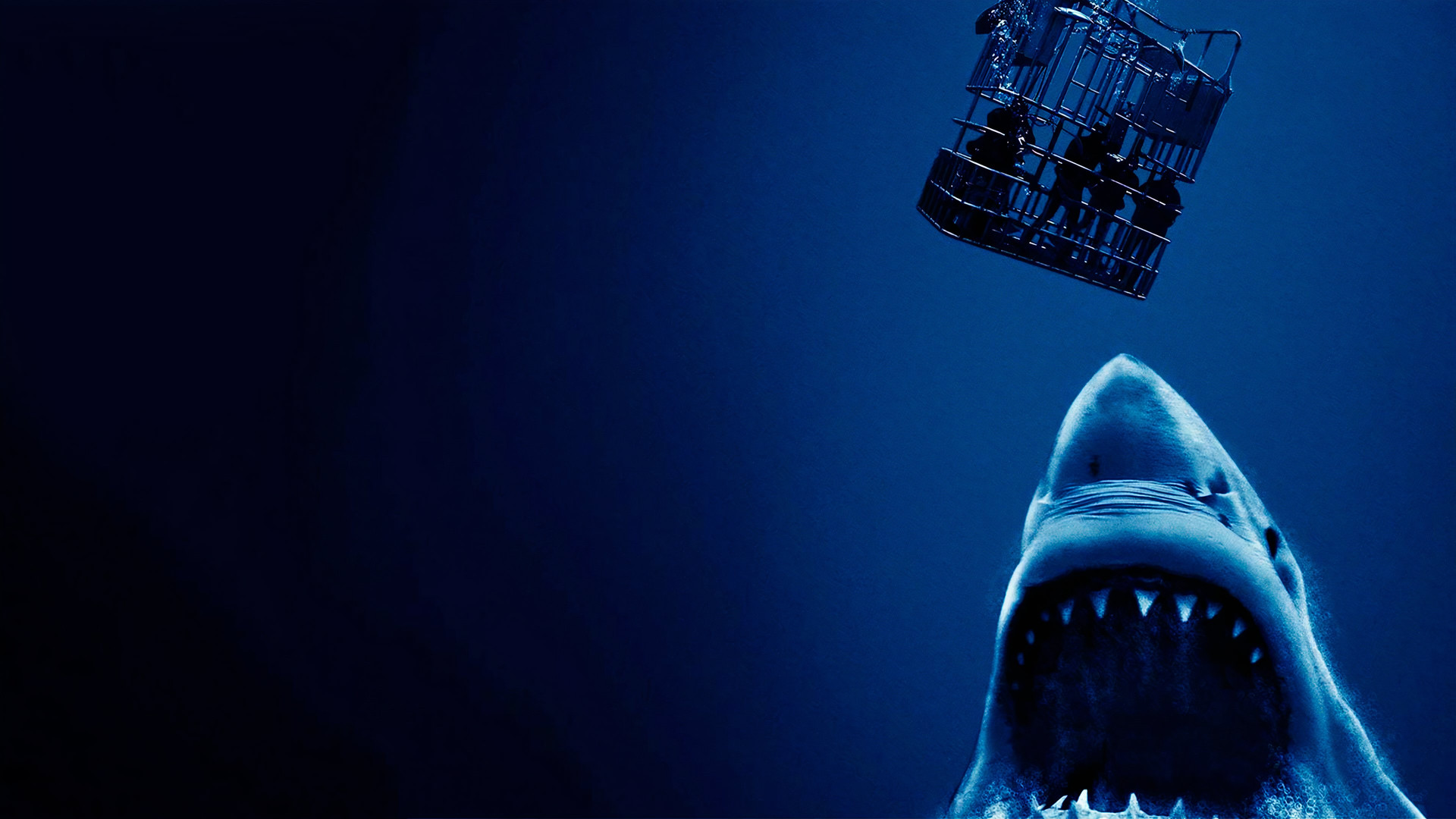 Фильмы про выживание в океане. Над глубиной: хроника выживания фильм 2017 актёры. Над глубиной фильм 2017. Над глубиной хроника выживания 2016. Над глубиной хроника выживания 2016.