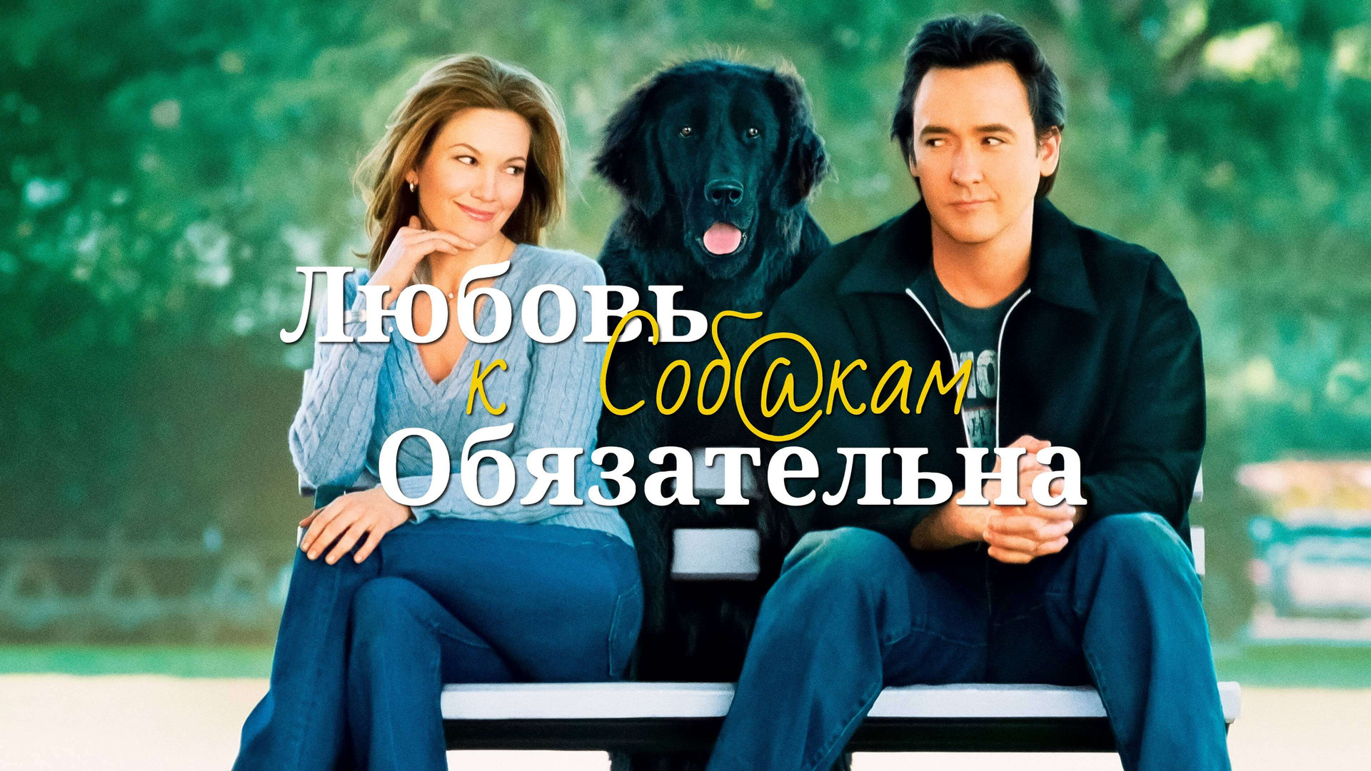 фильм Любовь к собакам обязательна 2005
