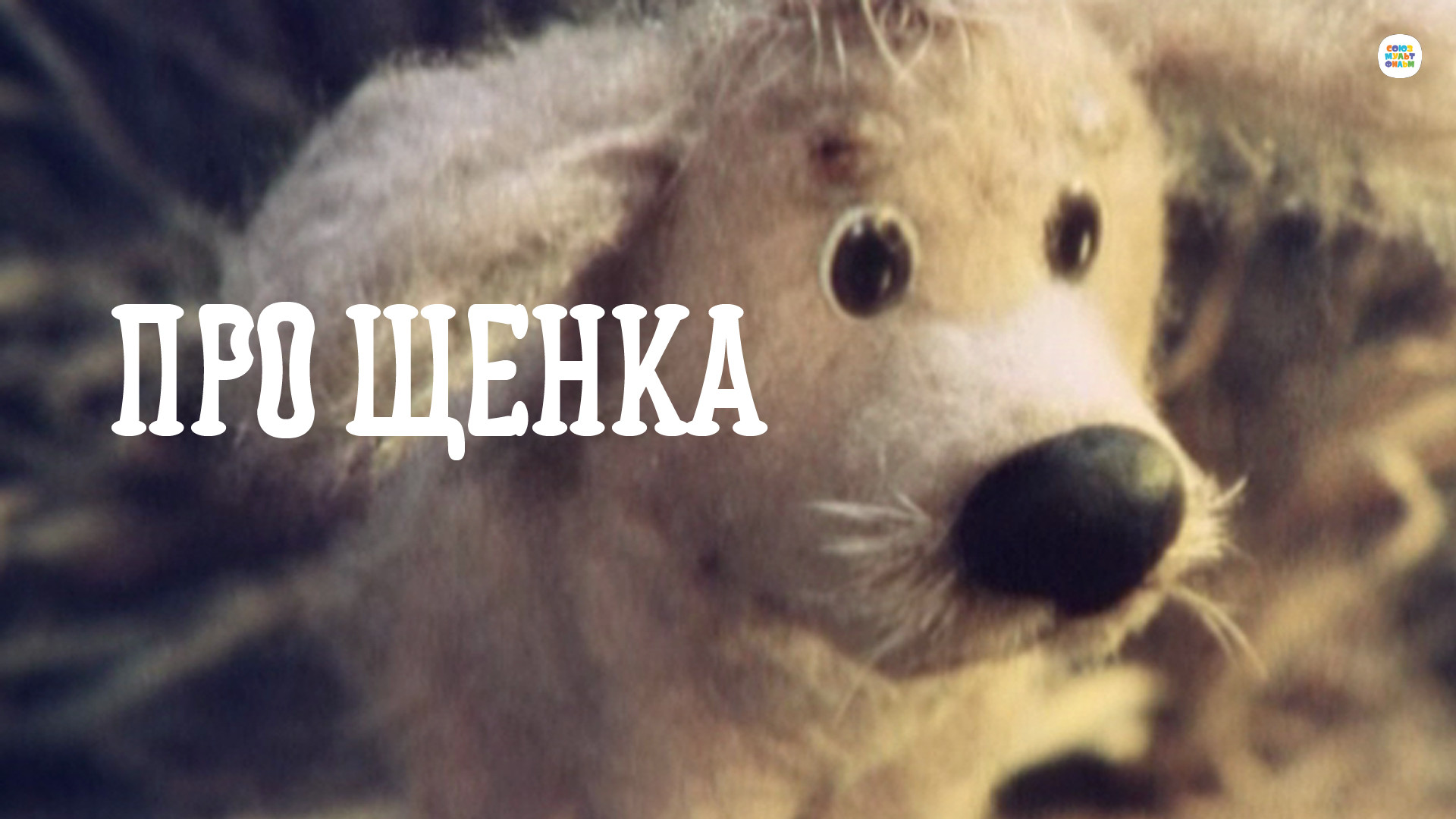 мультфильм Про щенка 1979