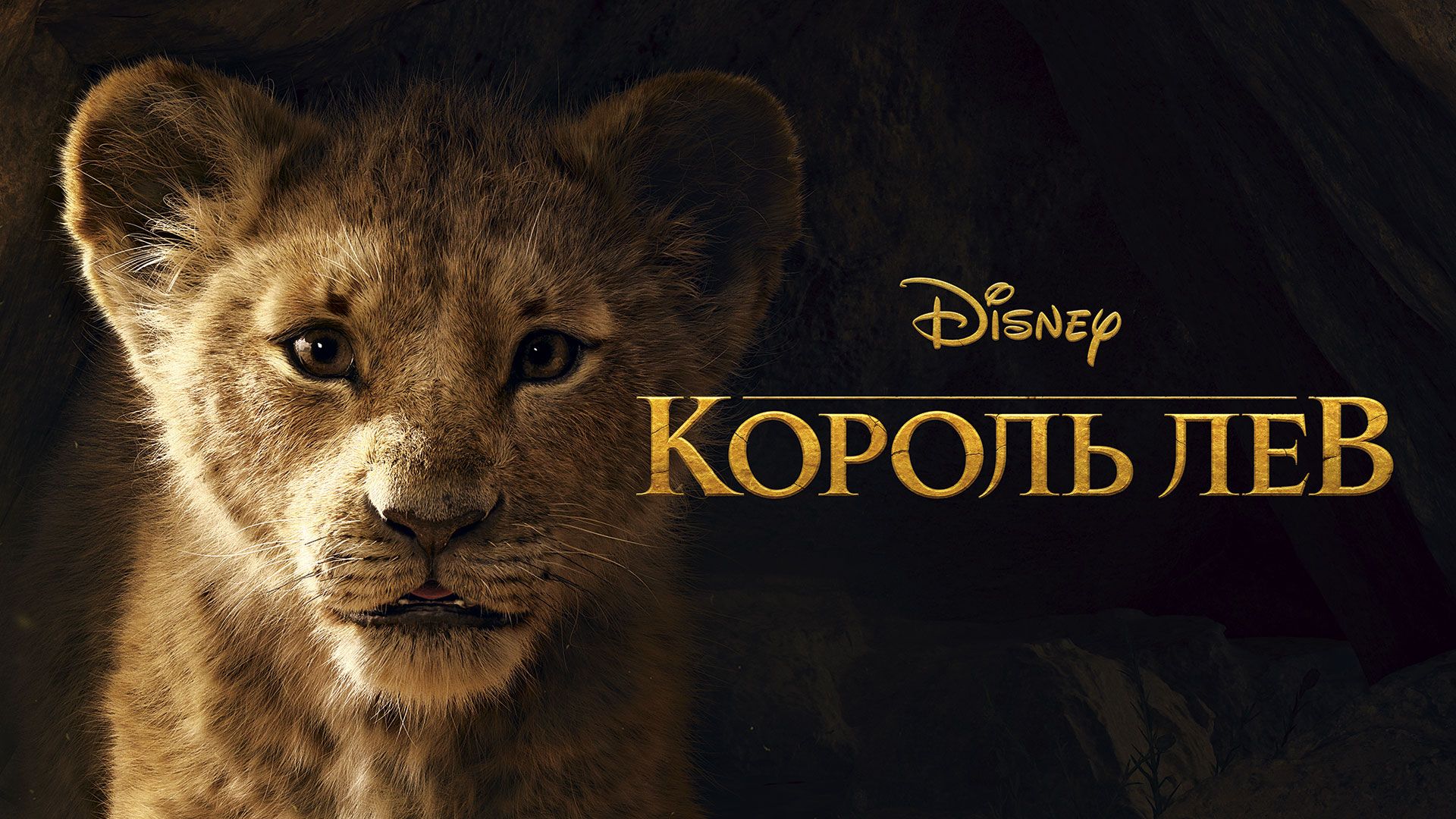 Король Лев () смотреть онлайн бесплатно в HD качестве