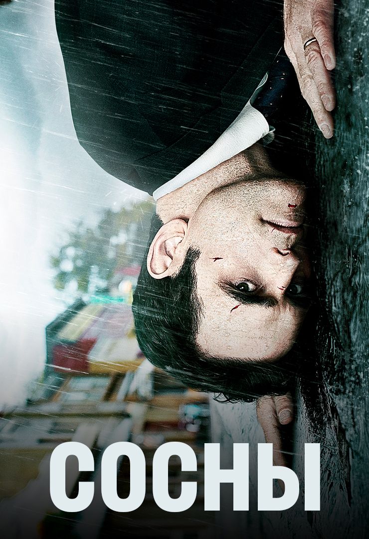 Сосны (2015) (1-2 сезон) смотреть онлайн на Киного в хорошем качестве