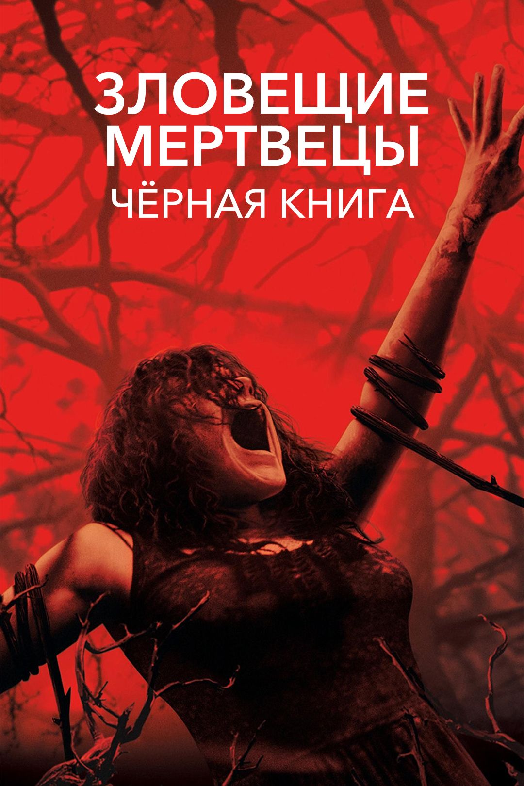 Зловещие мертвецы: Чёрная книга (фильм, 2013) смотреть онлайн в хорошем  качестве HD (720) / Full HD (1080)