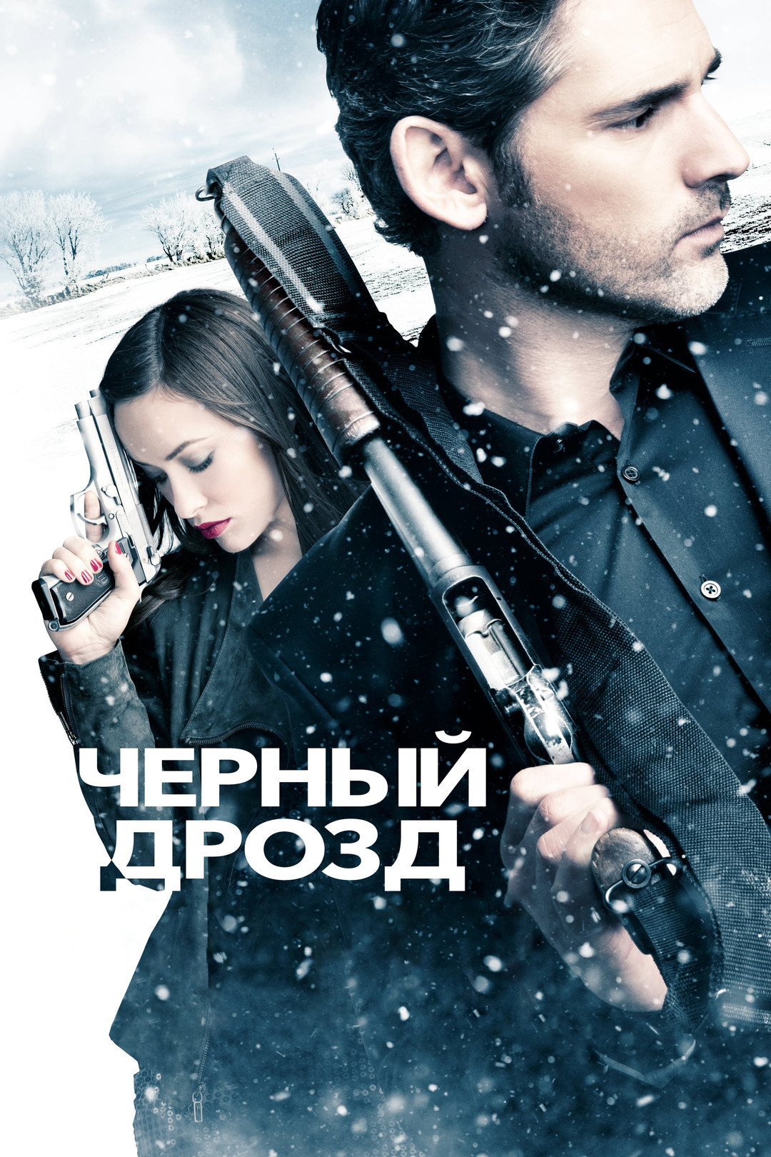 Ледяной фильм 2013