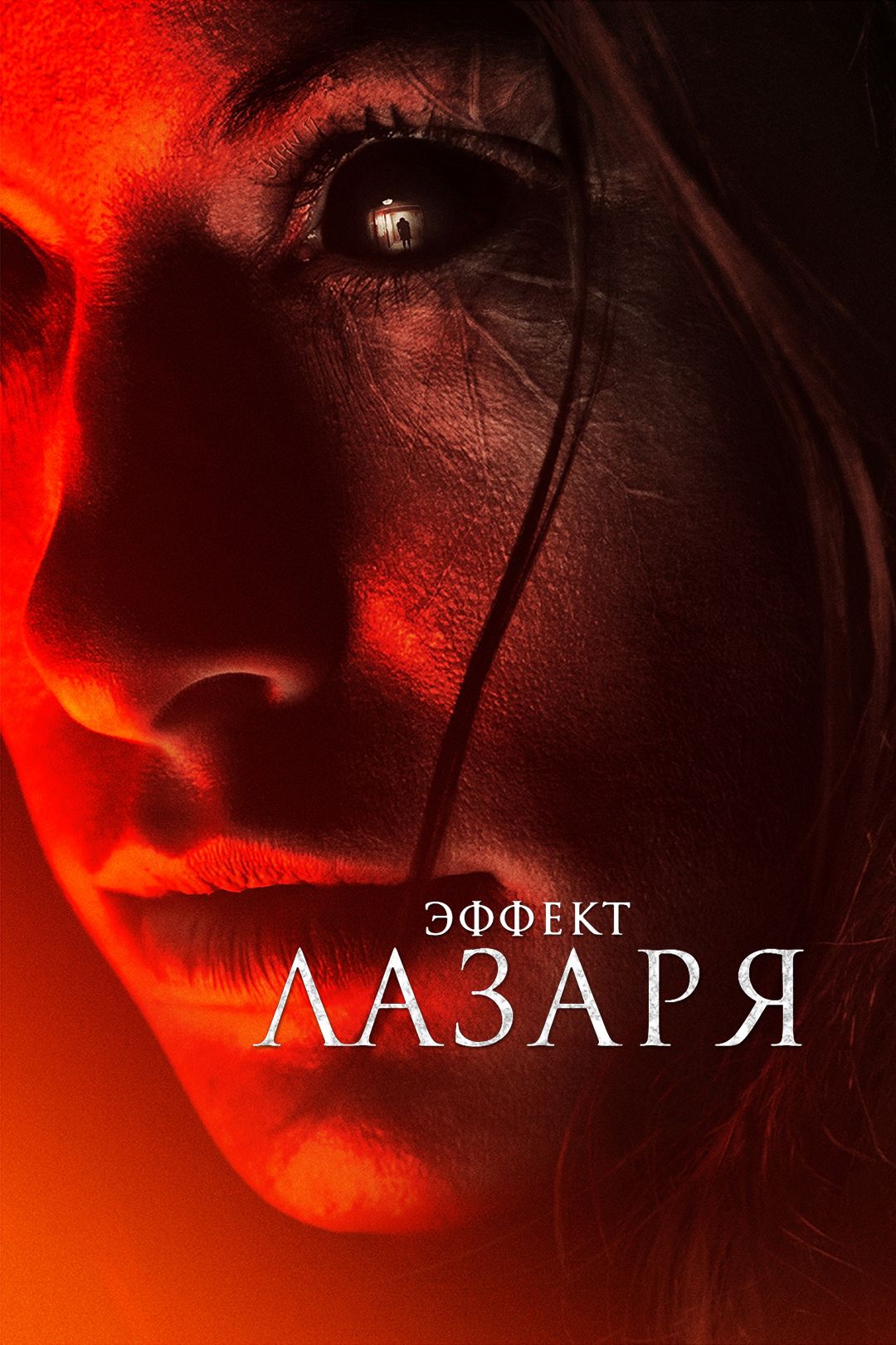 Эффект Лазаря (2013)