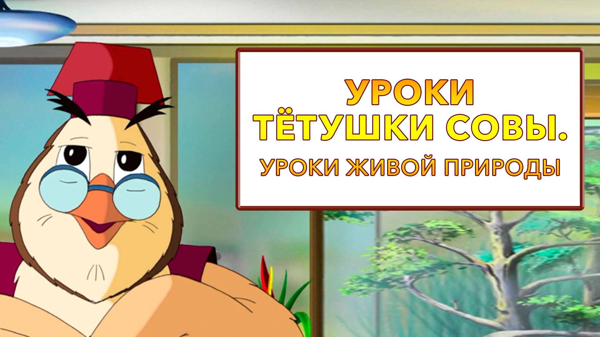 Уроки тётушки Совы. Уроки живой природы (мультсериал, 2008) смотреть онлайн  в хорошем качестве HD (720) / Full HD (1080)