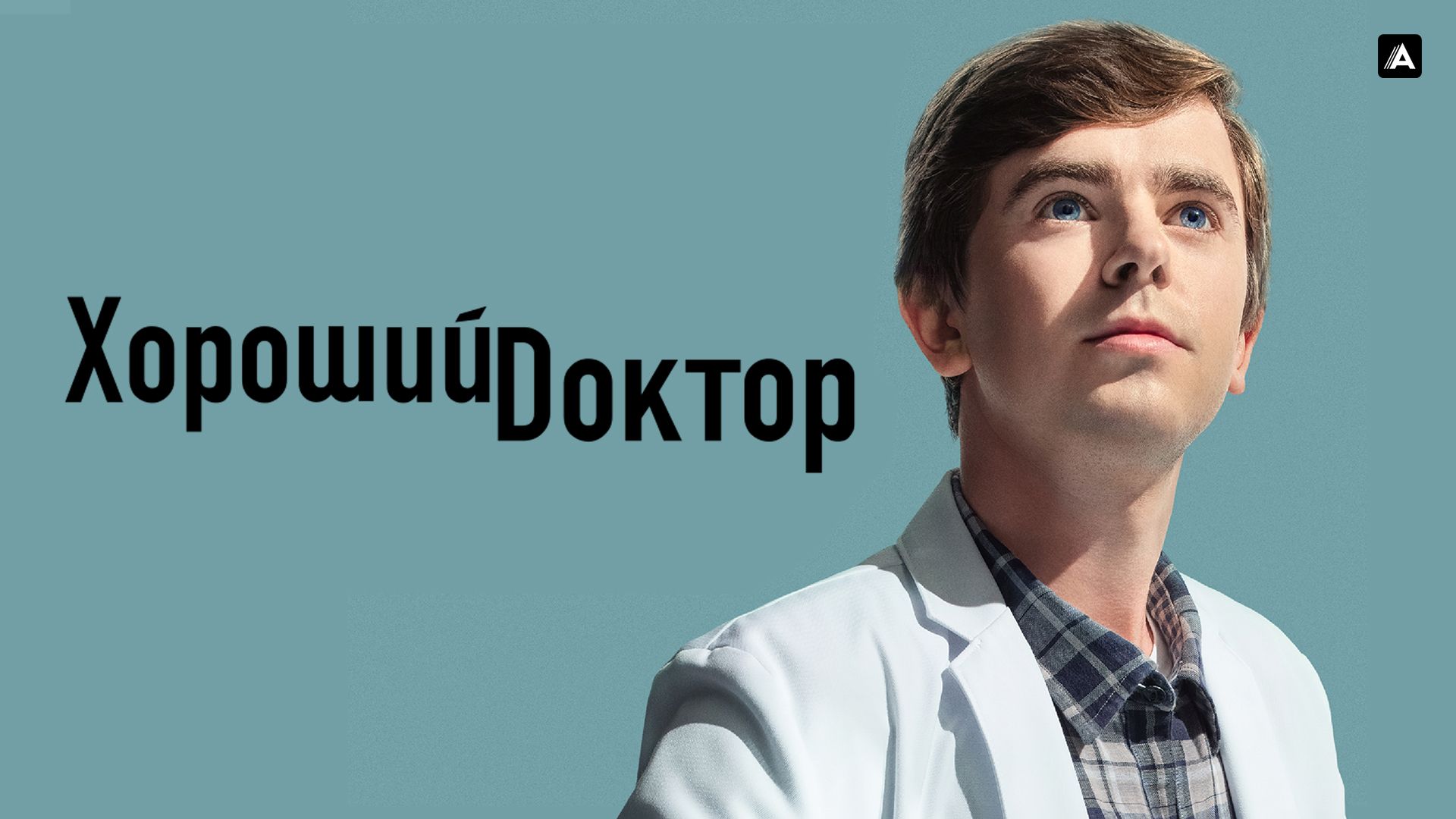 Хороший доктор (сериал, 2013-...) смотреть онлайн