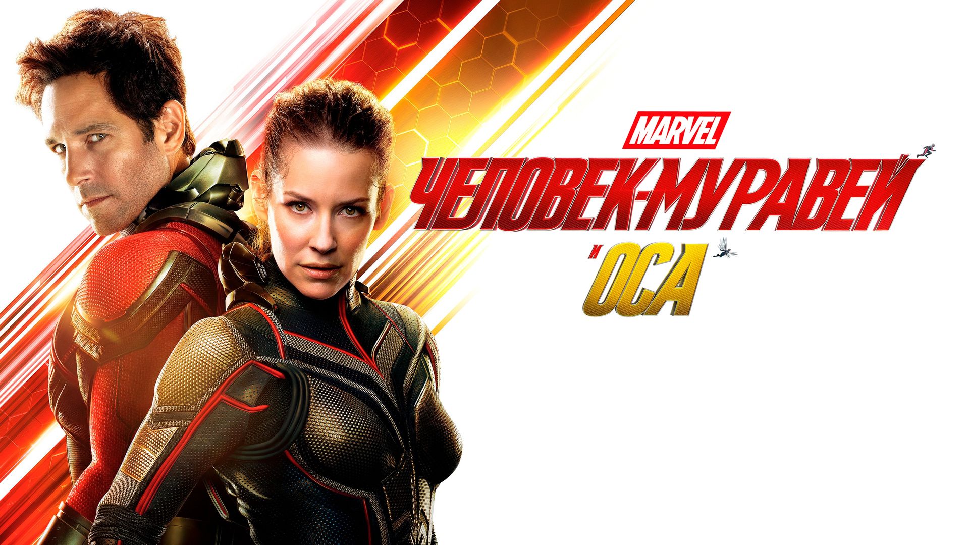 Человек-муравей и Оса / Ant-Man and the Wasp (2018)