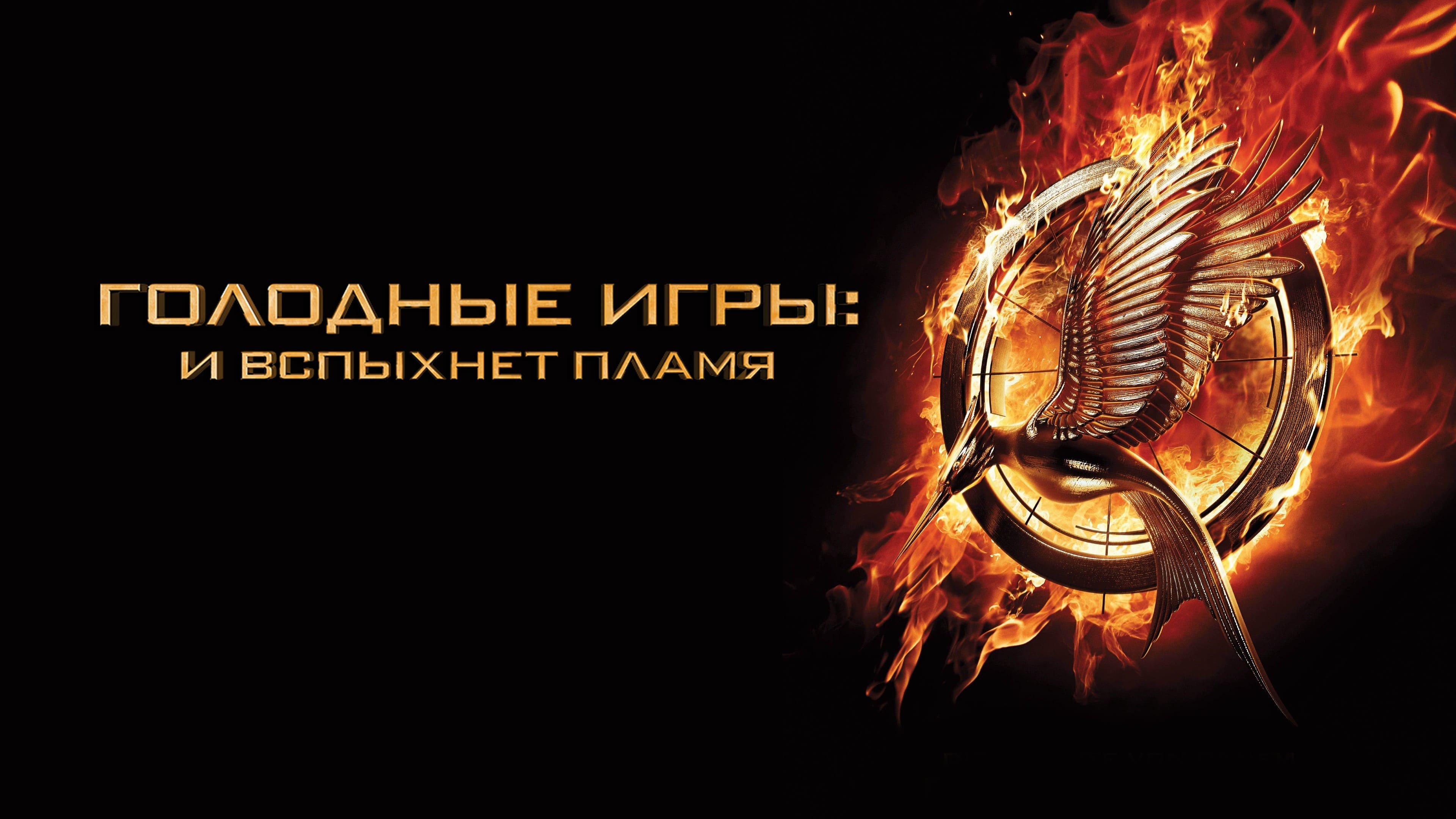 Похожие на фильм «Голодные игры: Сойка-пересмешница. Часть I» (The Hunger  Games: Mockingjay - Part 1, 2014)