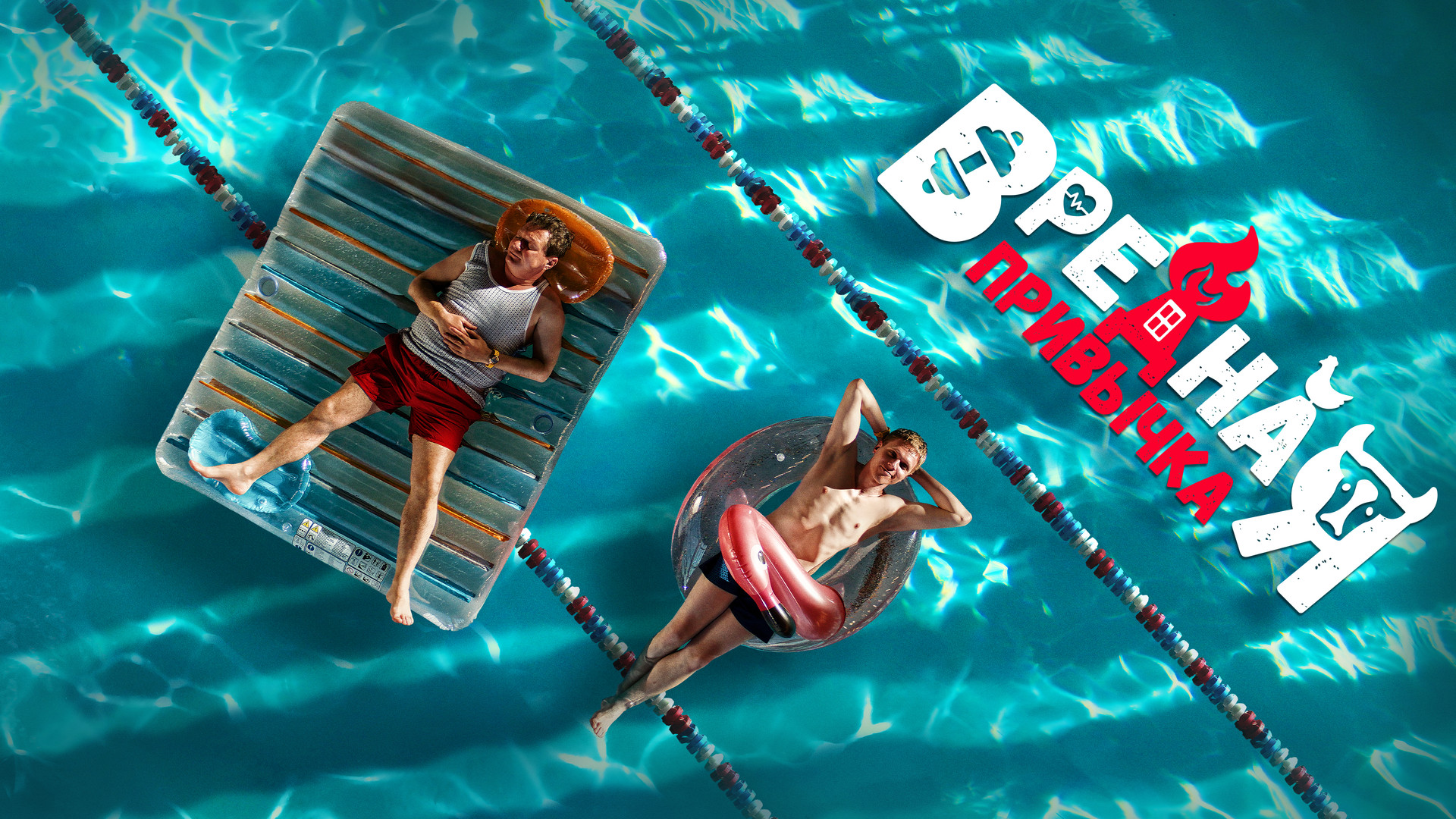 Необычные вредные привычки человека. Дурные привычки губят. Вредные привычки выглядишь отлично песни. Вредные привычки человека. Вредные привычки выглядишь отлично песни.