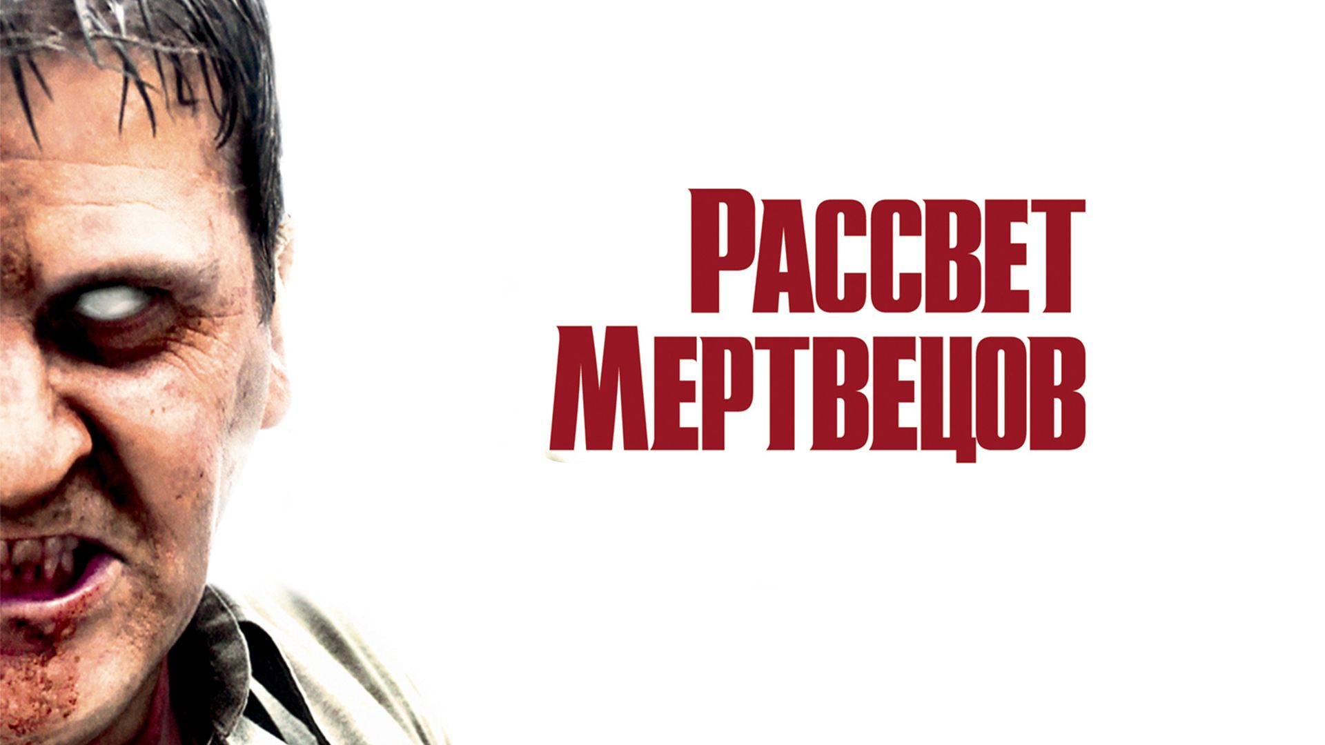 Рассвет мертвецов (фильм, 2004) смотреть онлайн в хорошем качестве HD (720)  / Full HD (1080)