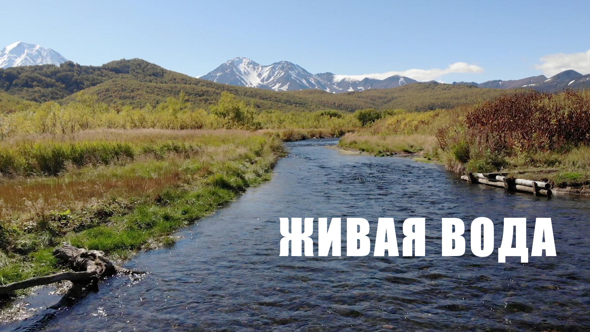 Живая вода