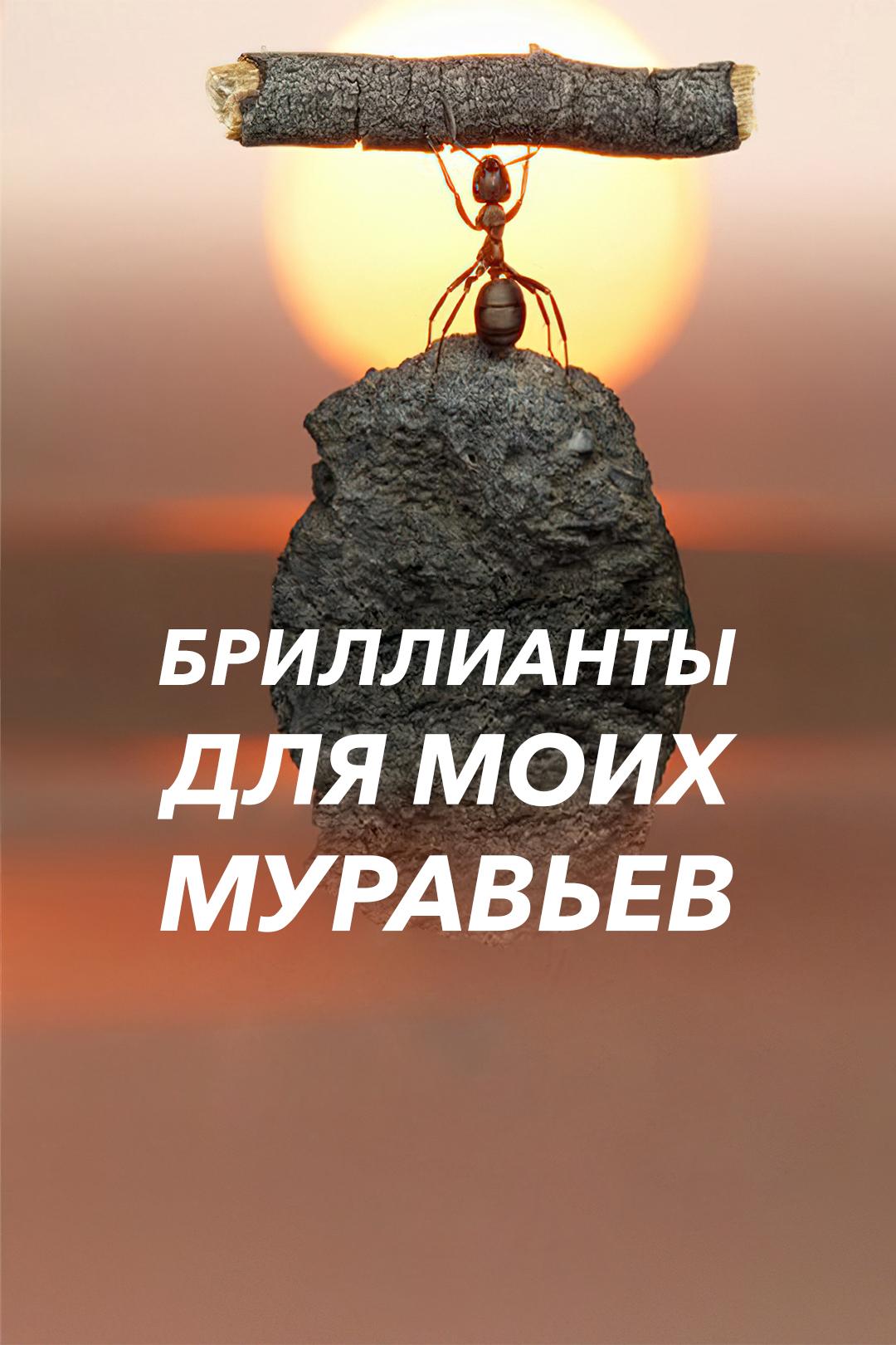 Бриллианты для моих муравьёв