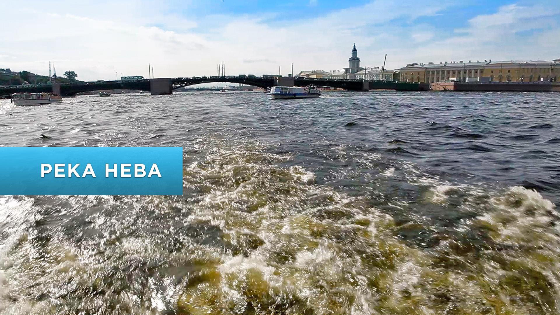 Река Нева