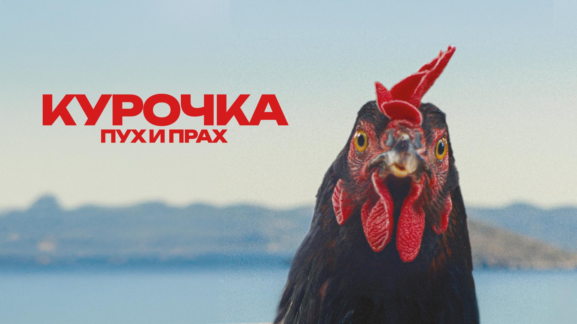Курочка. Пух и прах