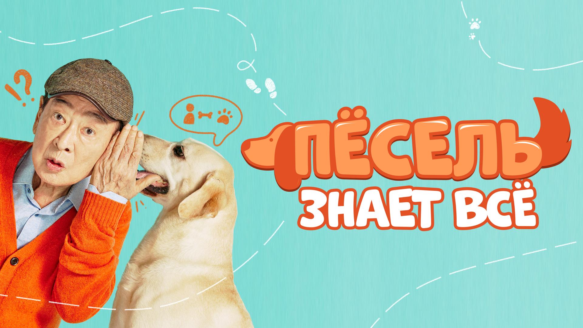 Пёсель знает всё