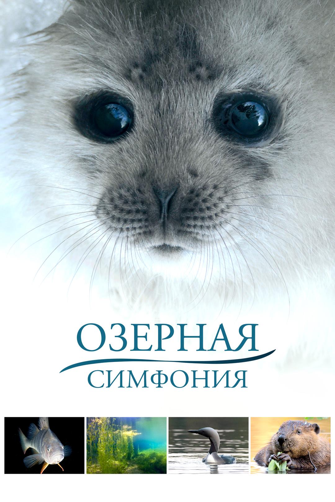 Озёрная симфония