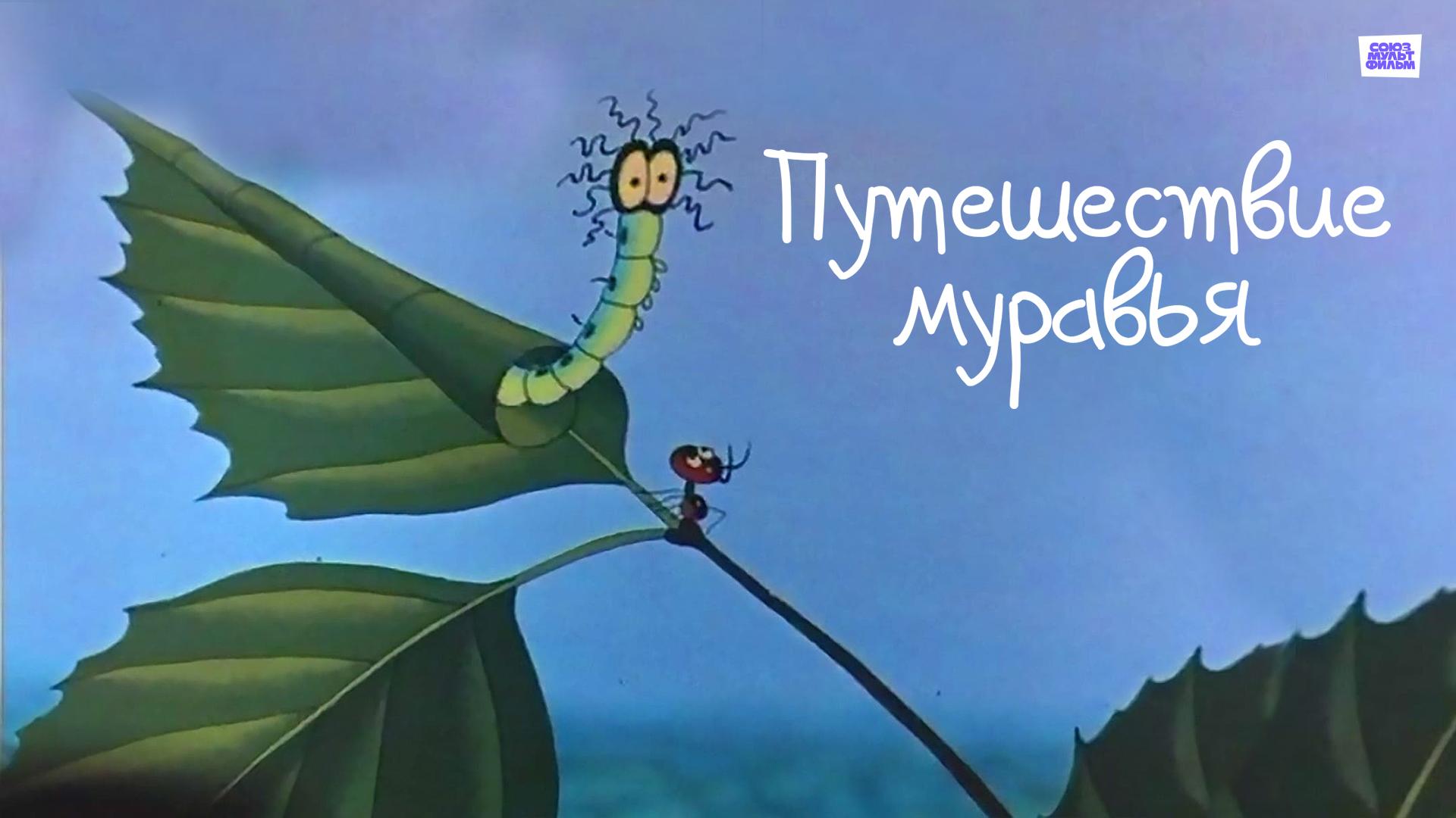 Путешествие муравья