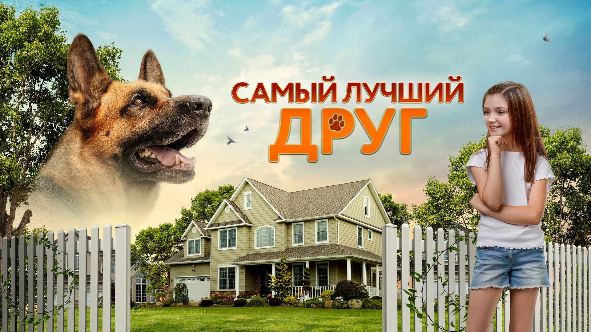 Хатико: Самый верный друг (фильм, 2009) смотреть онлайн в хорошем качестве  HD (720) / Full HD (1080)