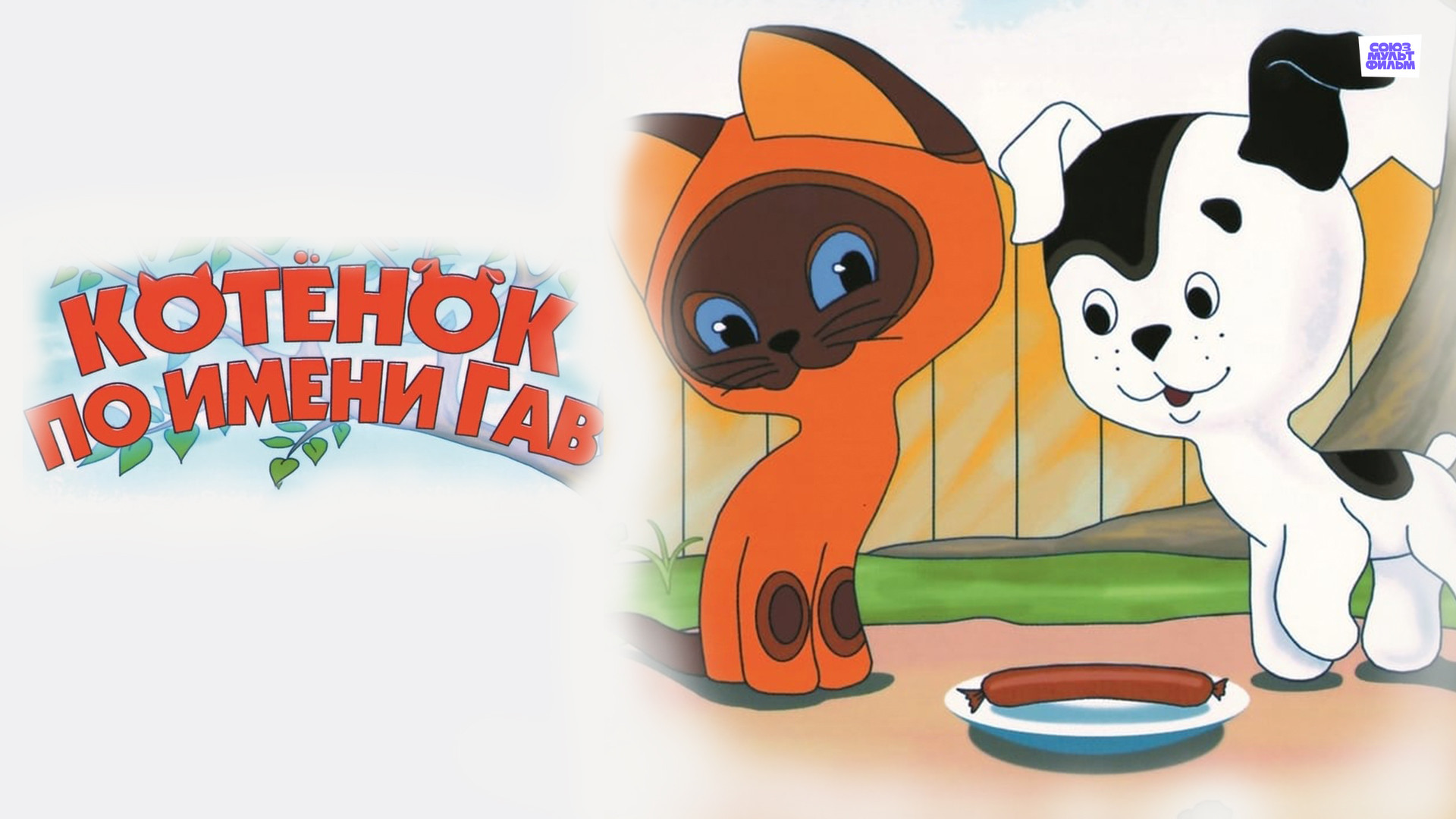 Котенок гав ул губкина 20 белгород фото Зоотовары и веткабинет "Котенок Гав", ИП Белгород телефон, адрес, отзывы, конт