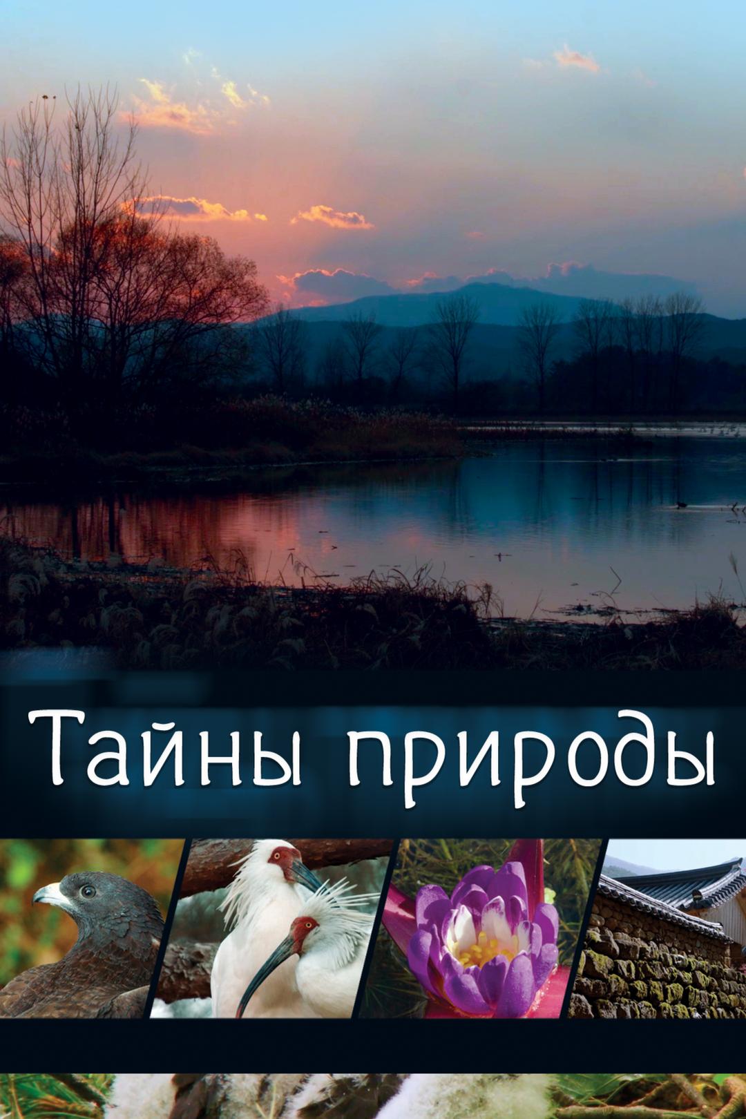 Тайны природы
