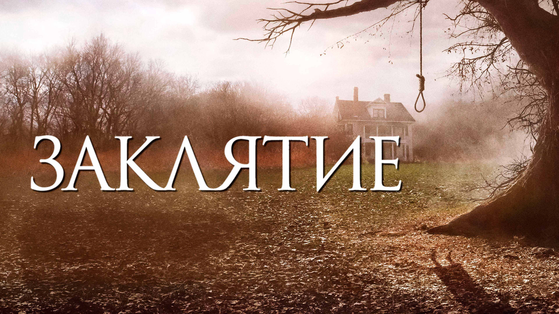 Әйелдің ер адамның аузына тамшылап жатқан видеосы