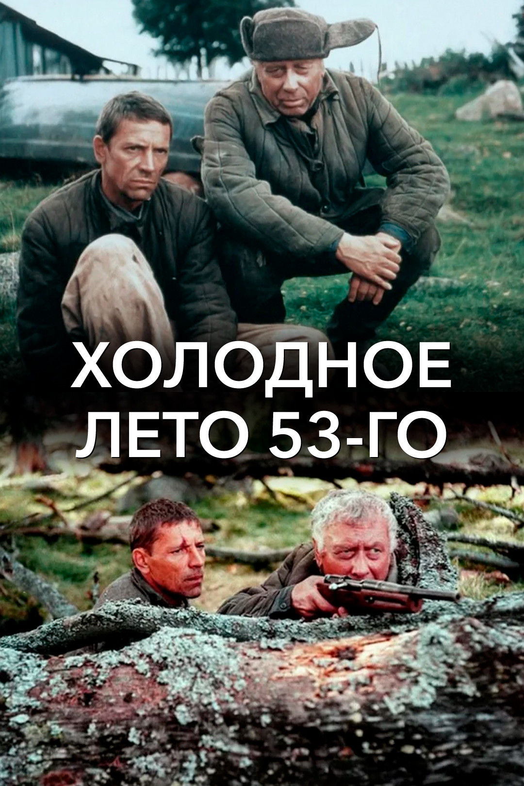 [Image: 1d5cf4fc-7c54-4cf4-806d-7be2c0d979df]