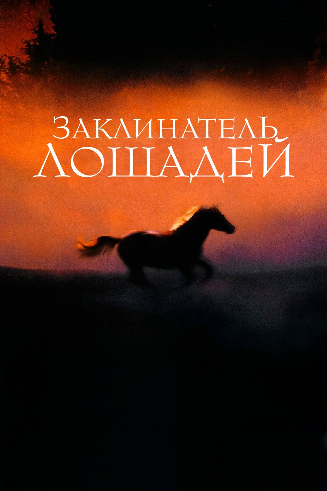 Заклинатель лошадей (фильм, 1998) смотреть онлайн в хорошем качестве HD  (720) / Full HD (1080)