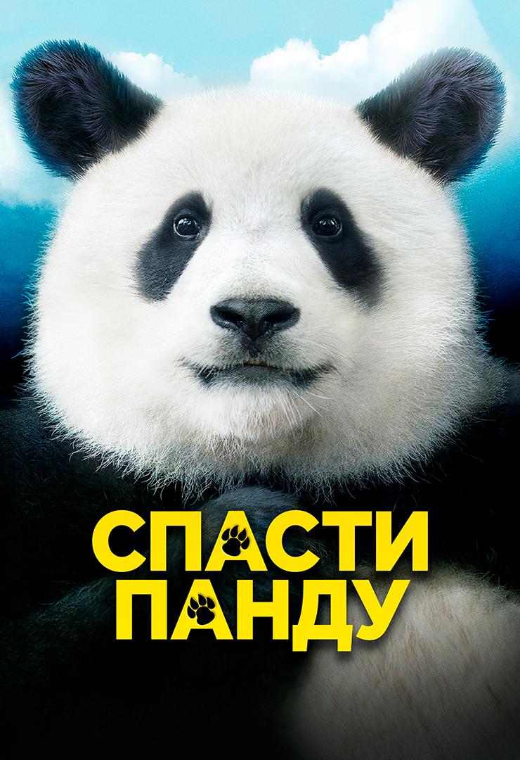 Спасти панду