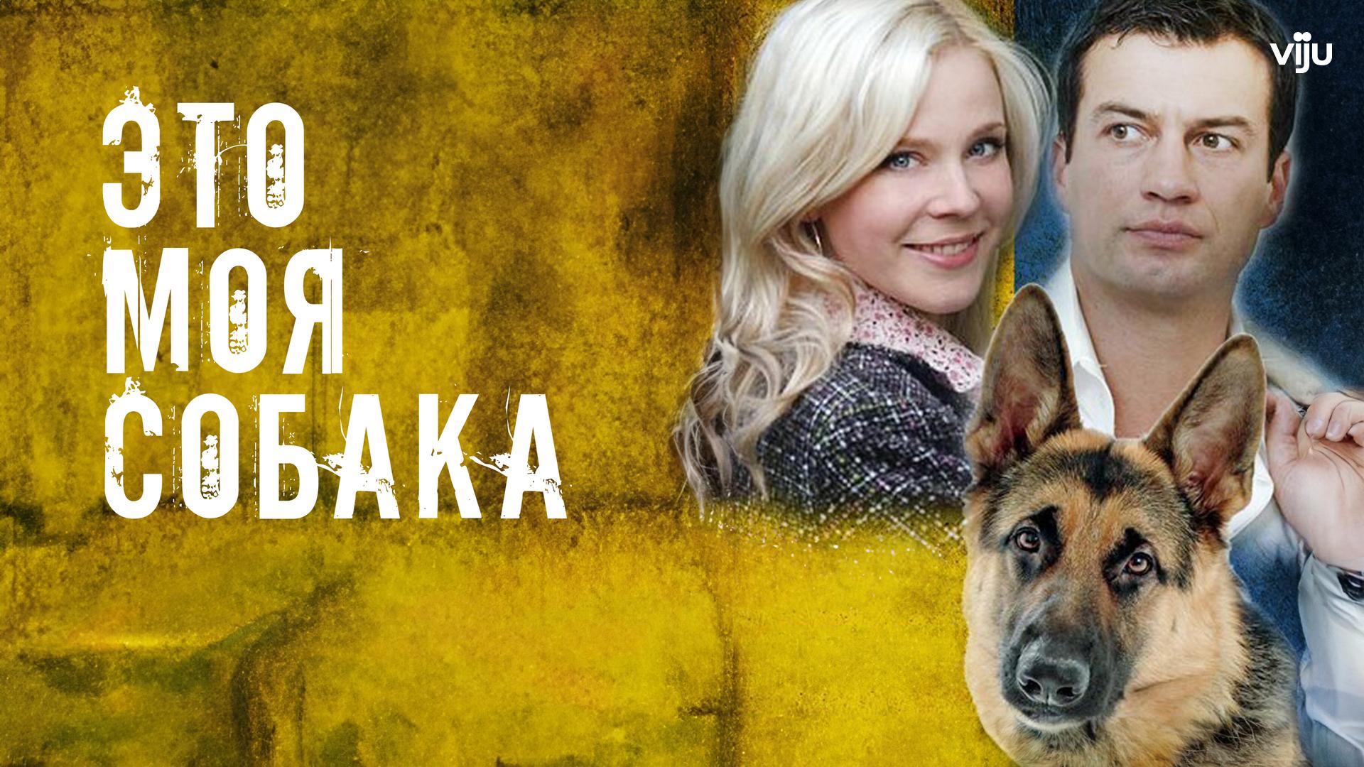 Это моя собака