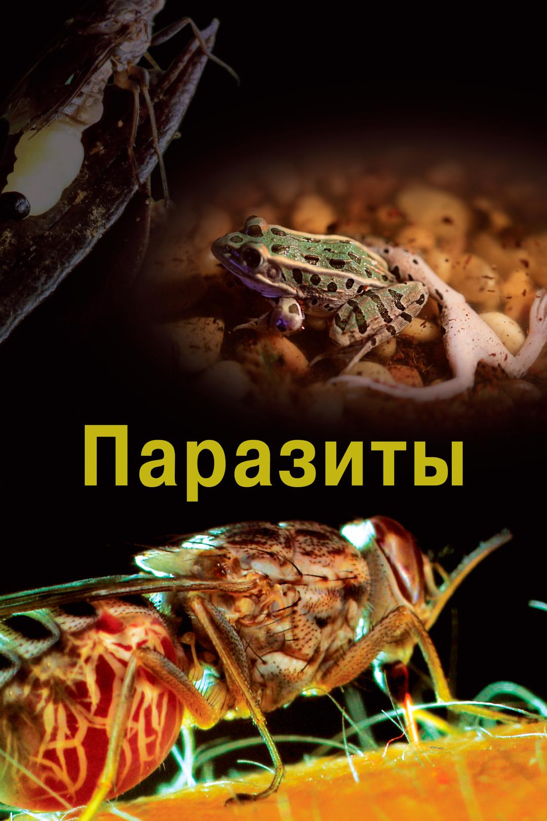 Паразиты