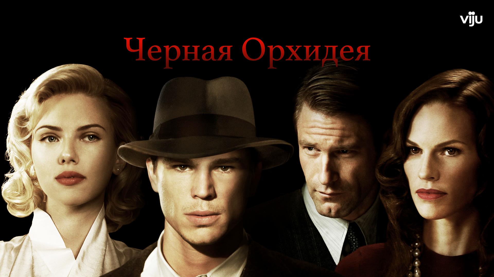 Черная орхидея