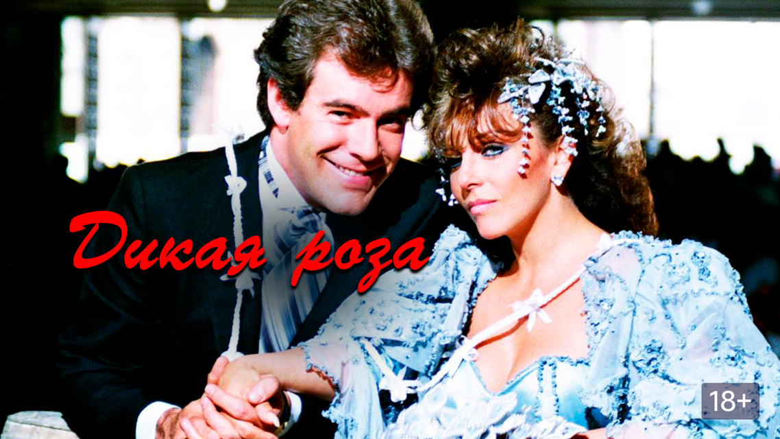 Актеры сериала дикая роза фото Актеры сериала дикая роза фото