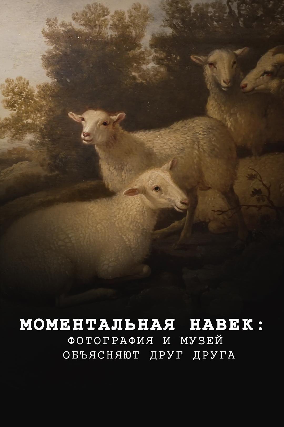 Моментальная навек: фотография и музей объясняют друг друга