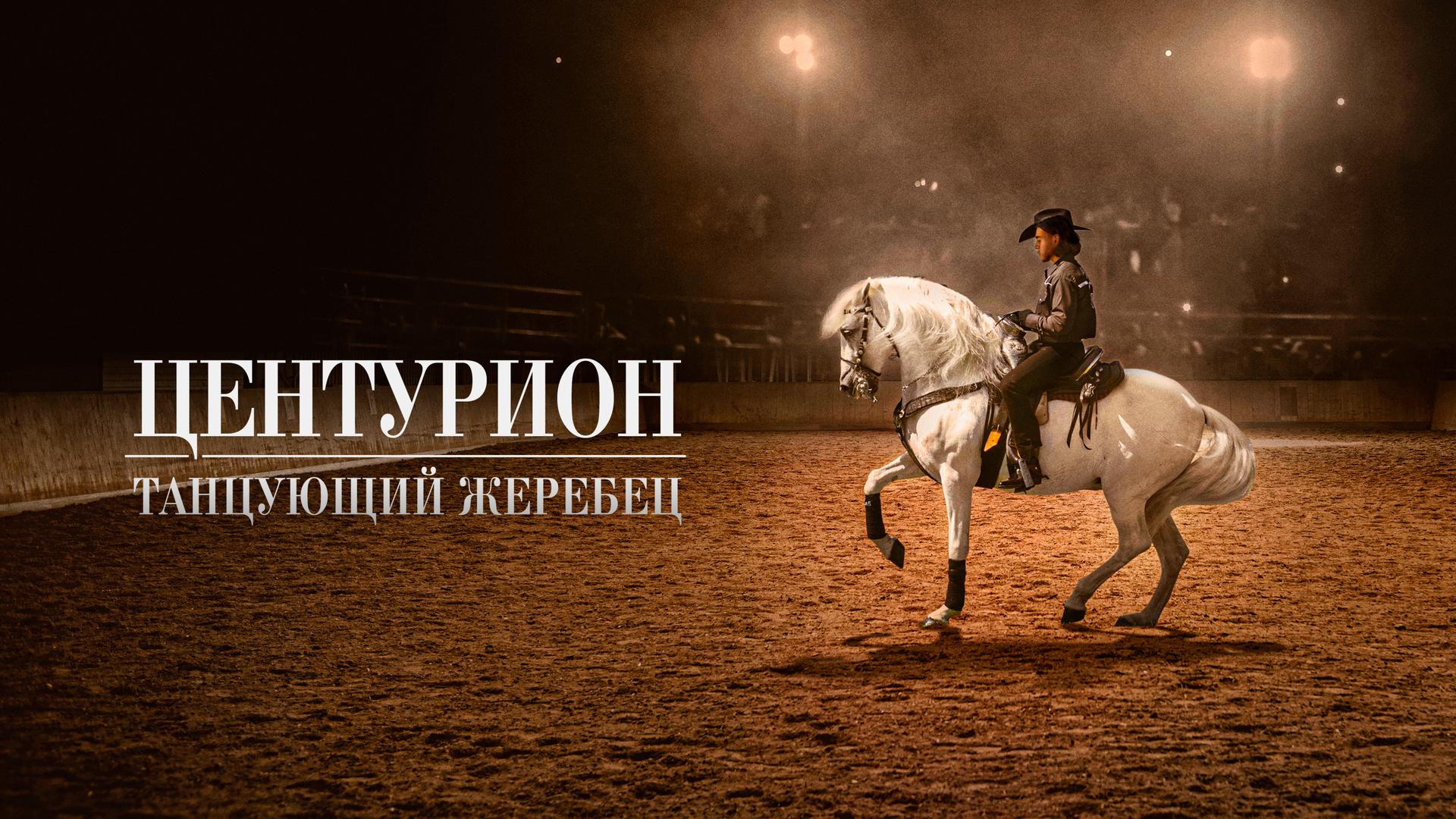 Центурион: Танцующий жеребец