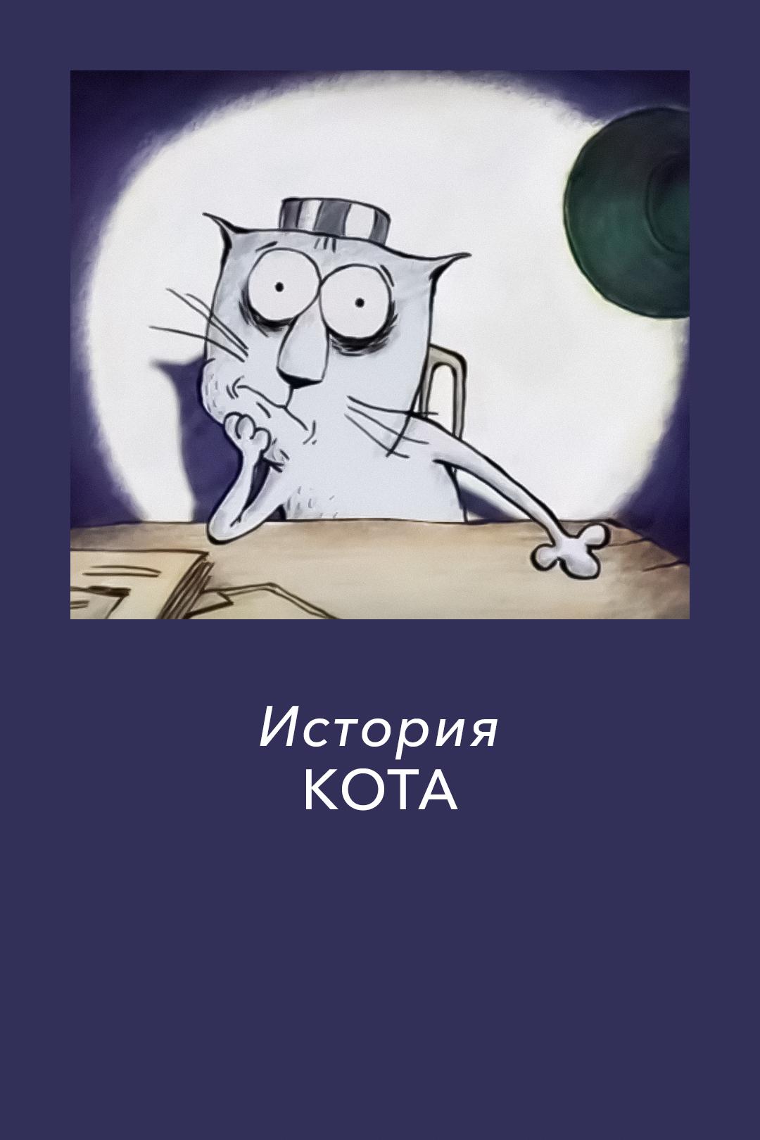 История кота