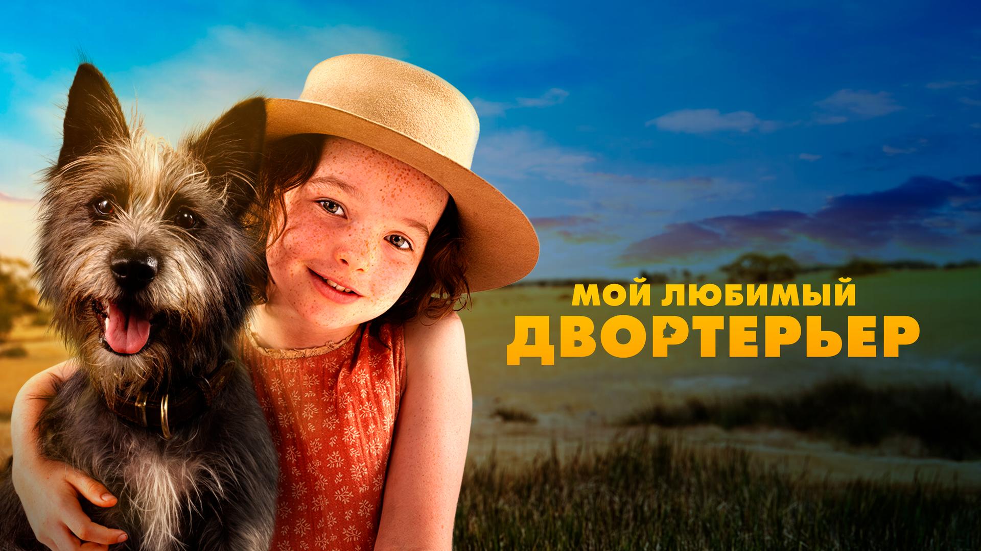 Мой любимый двортерьер