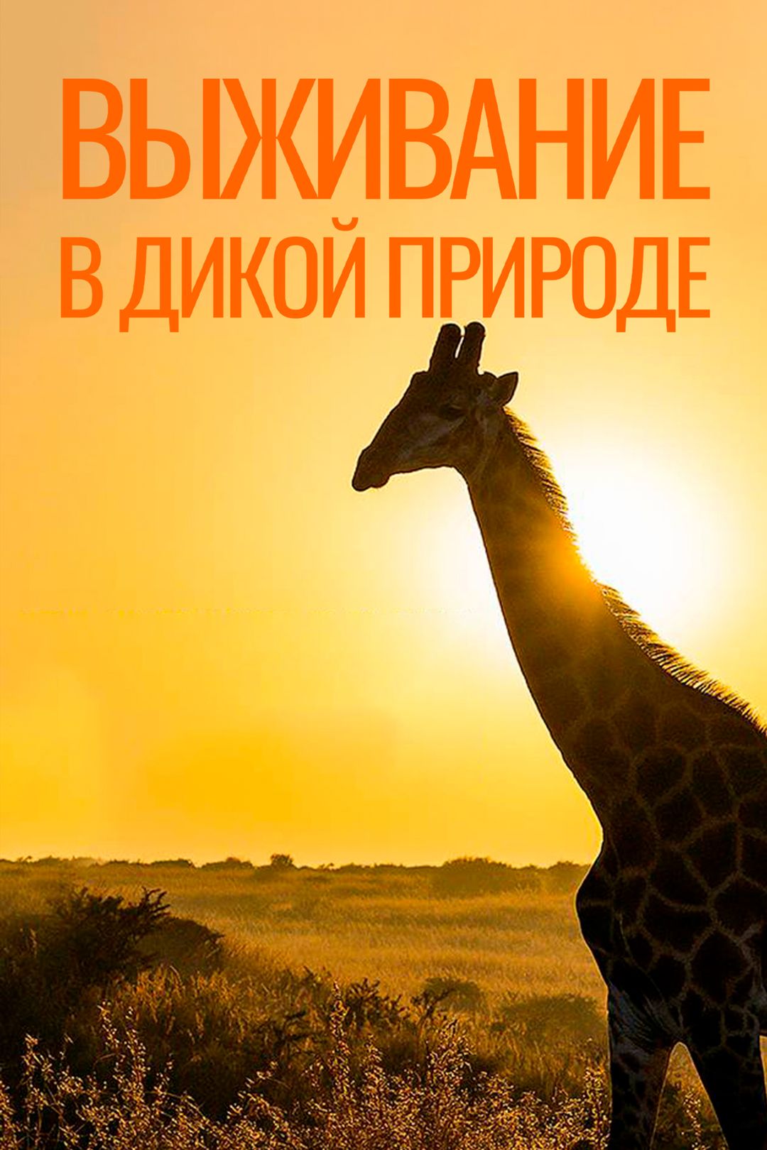 Выживание в дикой природе (1 сезон, 1 серия) смотреть онлайн в хорошем  качестве