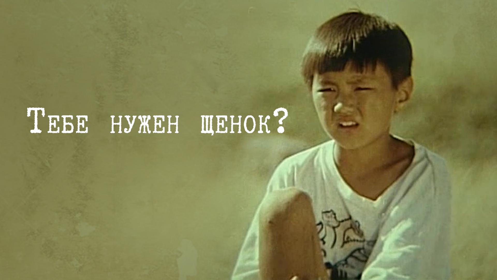 Тебе нужен щенок?