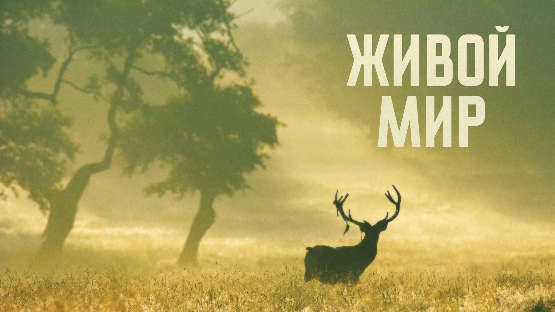 Живой мир