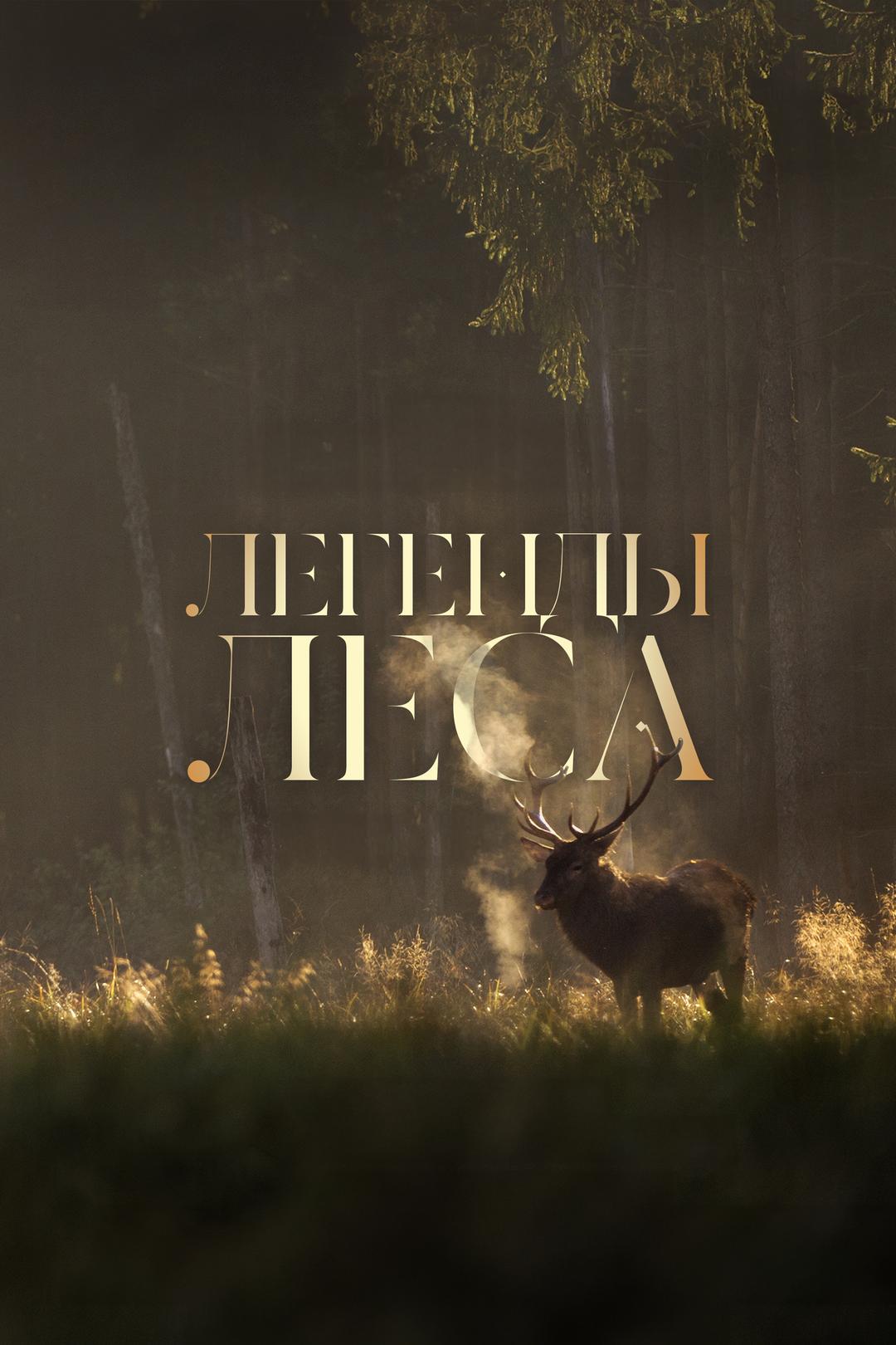 Легенды леса