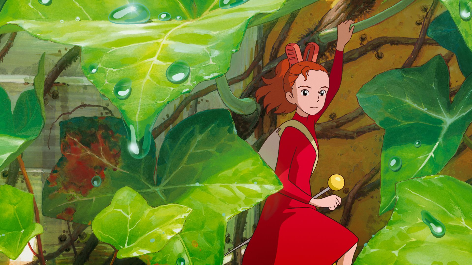 Смотреть на OKKO