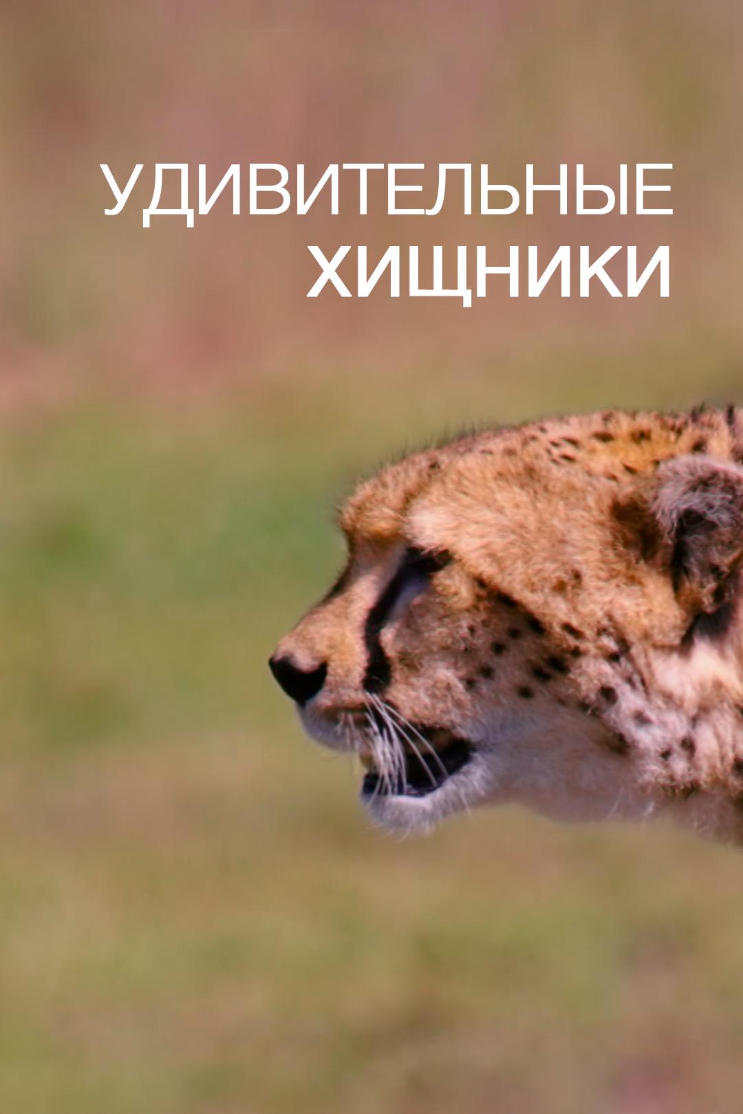 Удивительные хищники