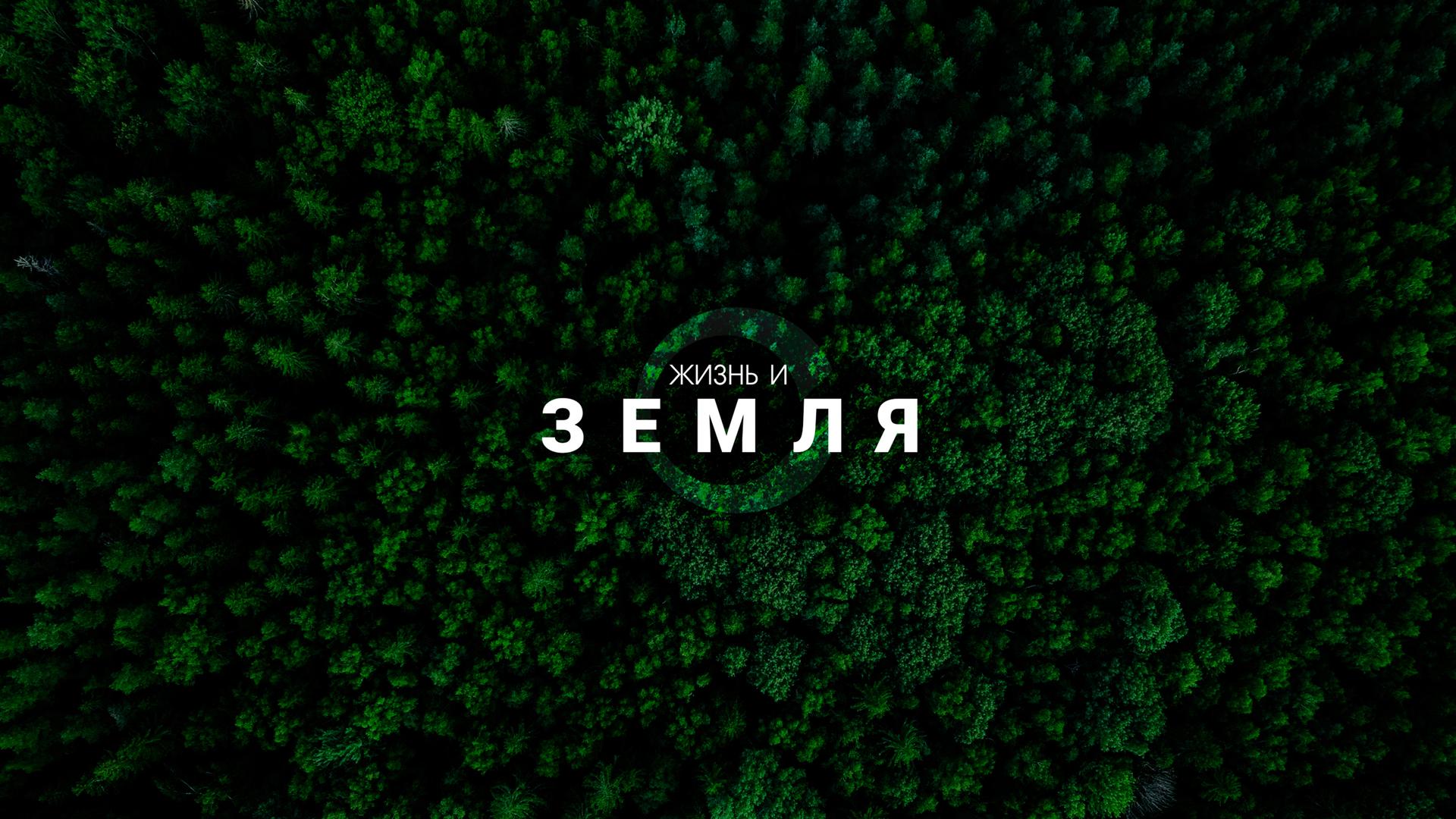 Жизнь и Земля