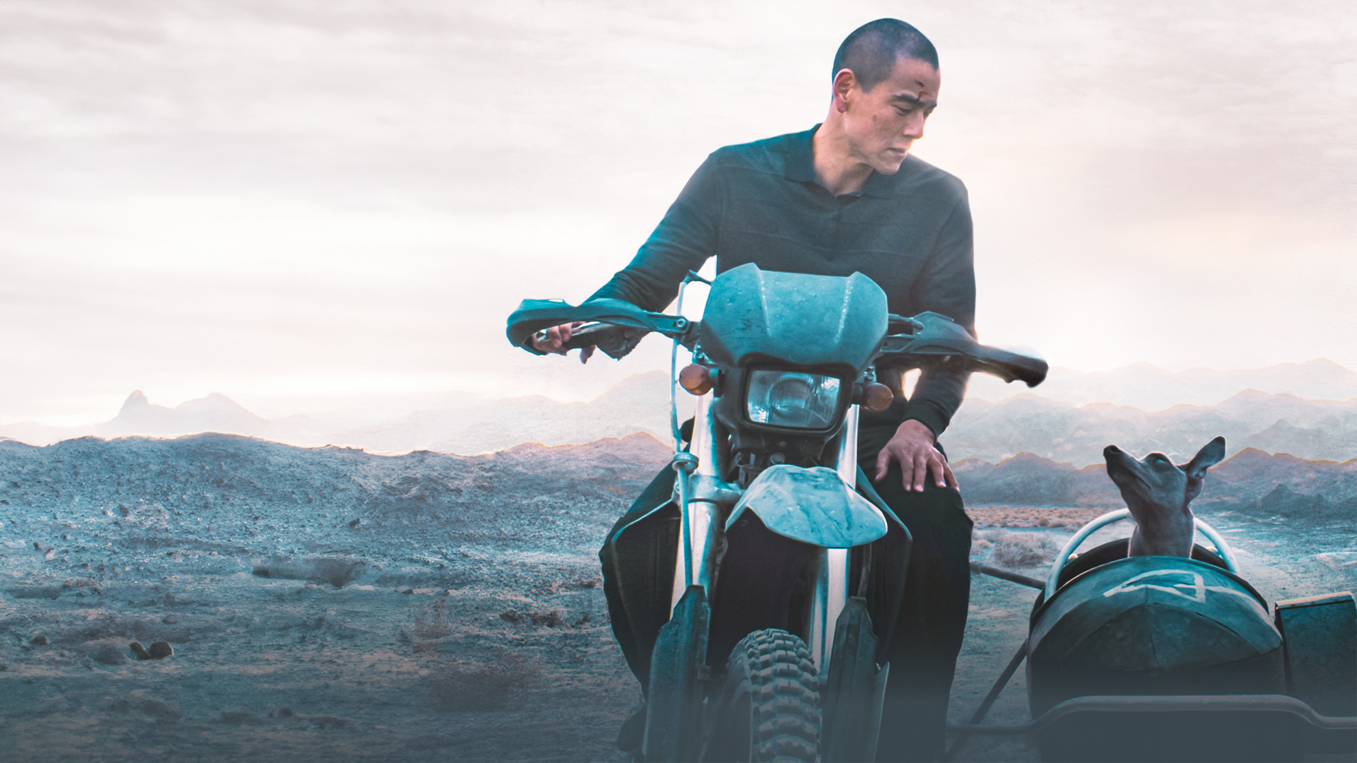 Wenceslaus va Janna video jinsiy aloqa