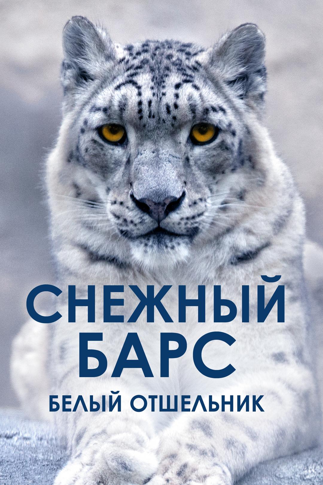 Снежный барс. Белый отшельник