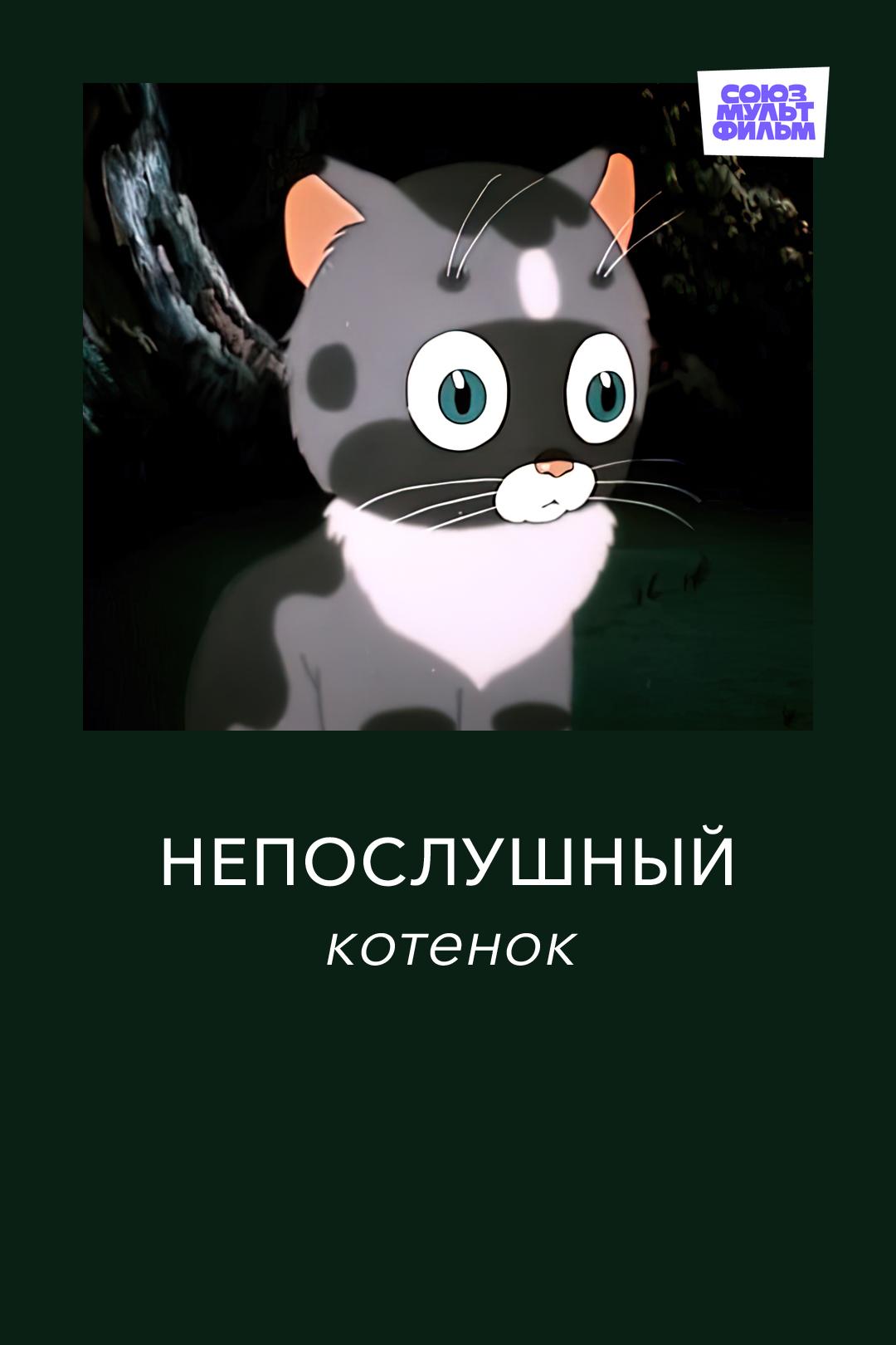 Непослушный котенок