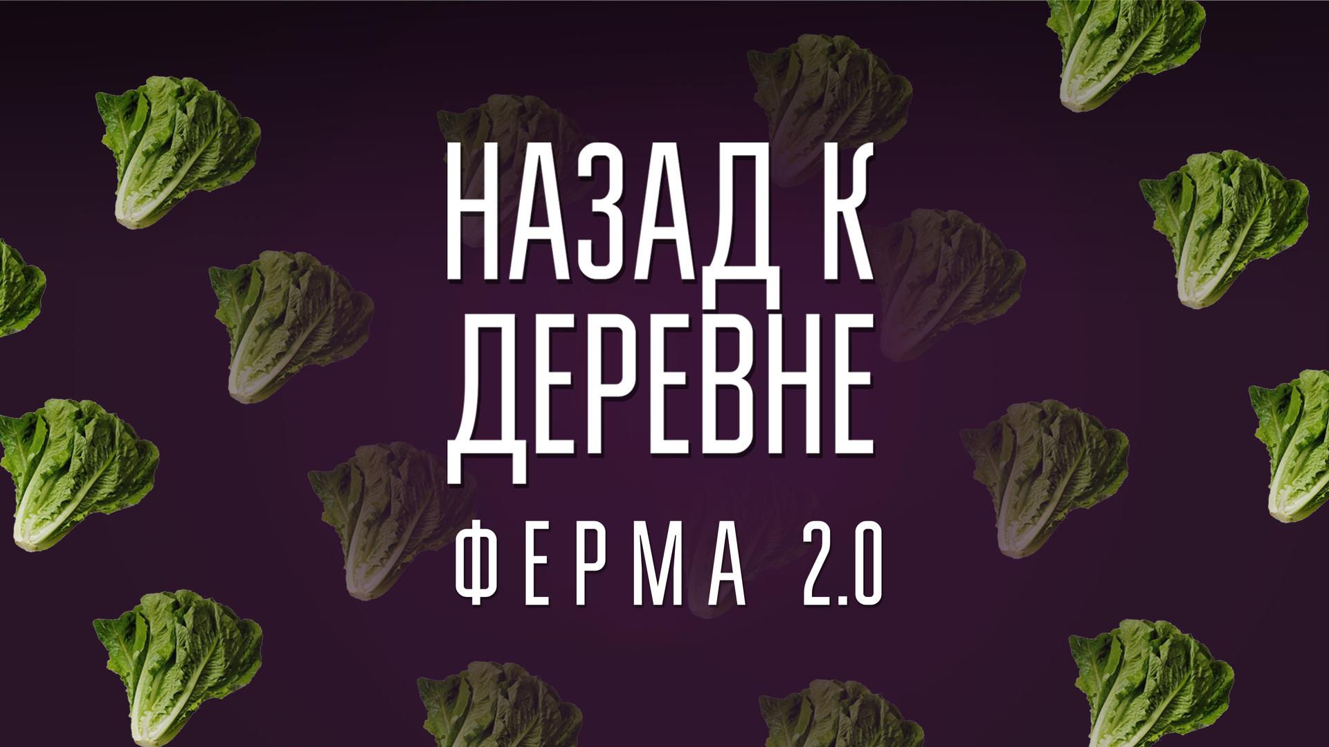 Назад к деревне. Ферма 2.0