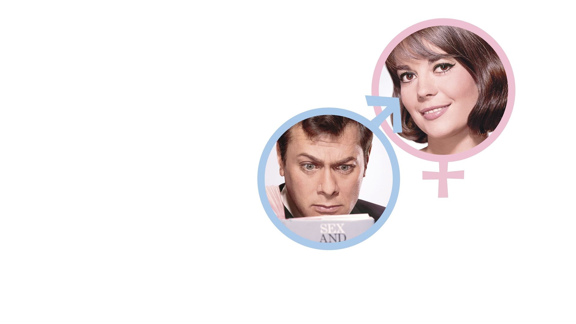 Әдемі киска ханшайым