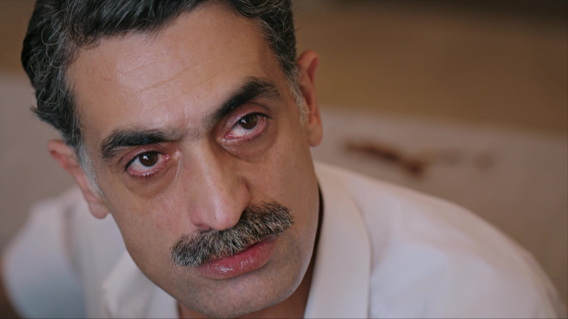 Зимородок 2 сезон 13 серия